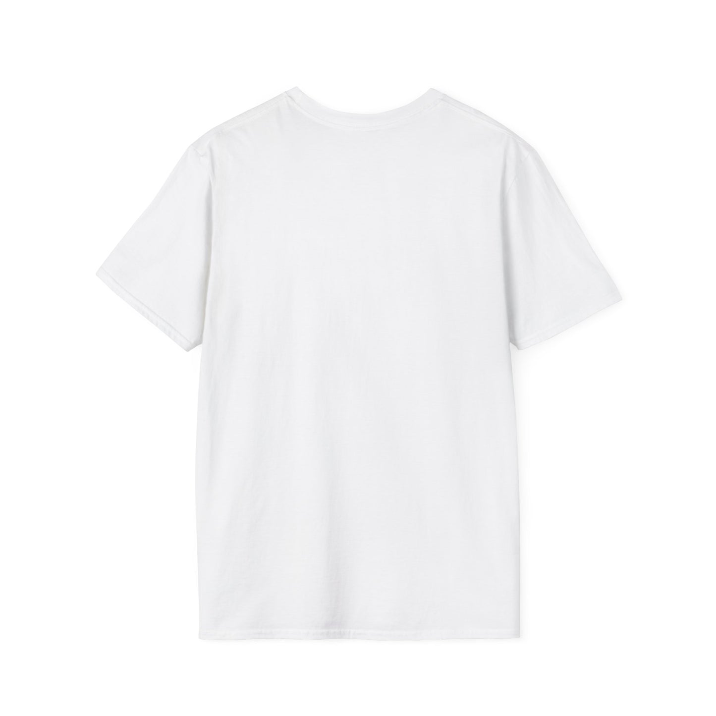 Thoughtful Unisex T-Shirt: Think Before You Send That Money, Gift, Casual Wear, Funny Shirt, Financial Humor