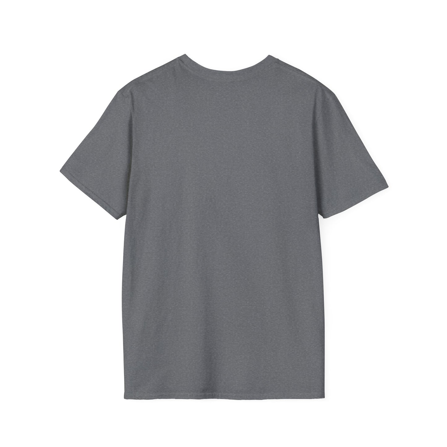 Thoughtful Unisex T-Shirt: Think Before You Send That Money, Gift, Casual Wear, Funny Shirt, Financial Humor