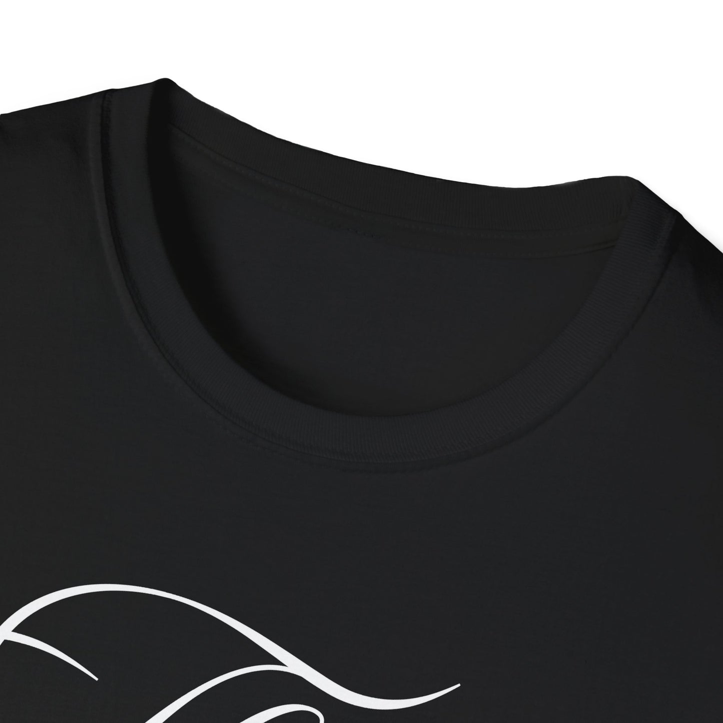 Thoughtful Unisex T-Shirt: Think Before You Send That Money, Gift, Casual Wear, Funny Shirt, Financial Humor
