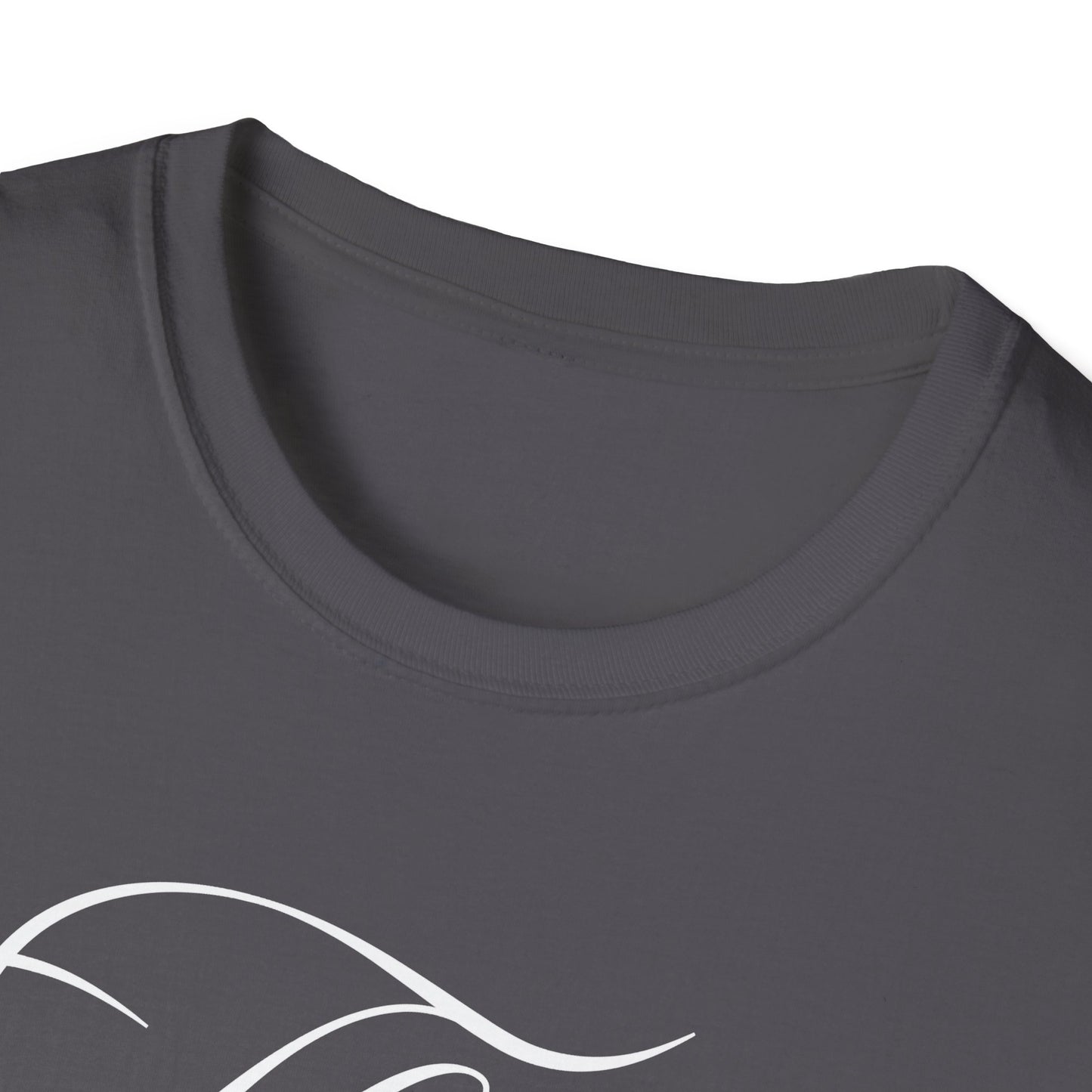 Thoughtful Unisex T-Shirt: Think Before You Send That Money, Gift, Casual Wear, Funny Shirt, Financial Humor