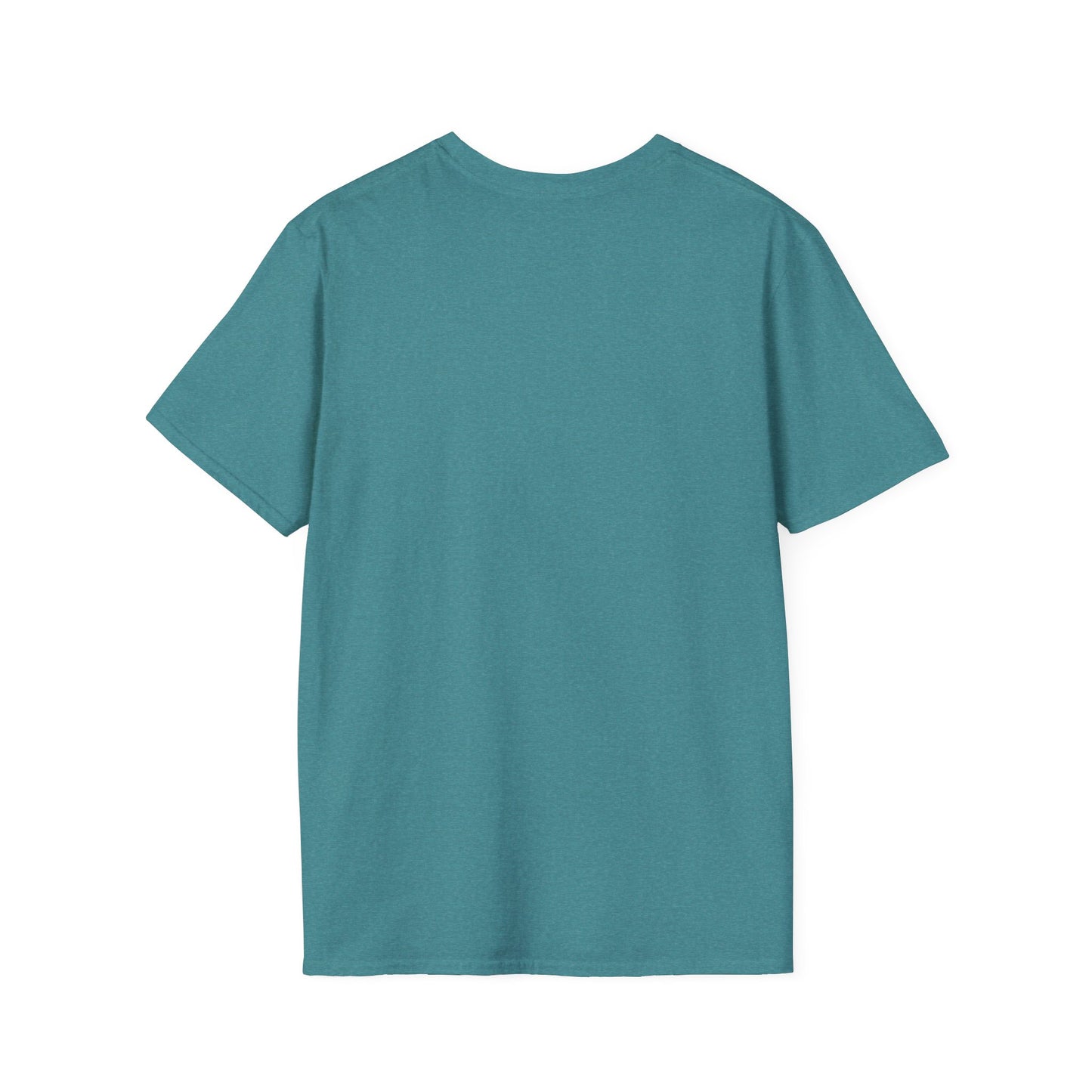 Thoughtful Unisex T-Shirt: Think Before You Send That Money, Gift, Casual Wear, Funny Shirt, Financial Humor