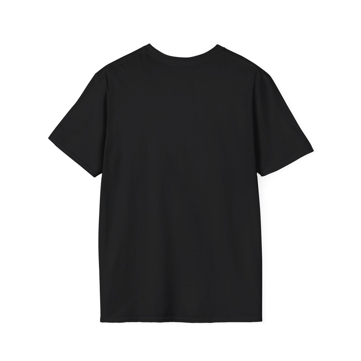 Thoughtful Unisex T-Shirt: Think Before You Send That Money, Gift, Casual Wear, Funny Shirt, Financial Humor