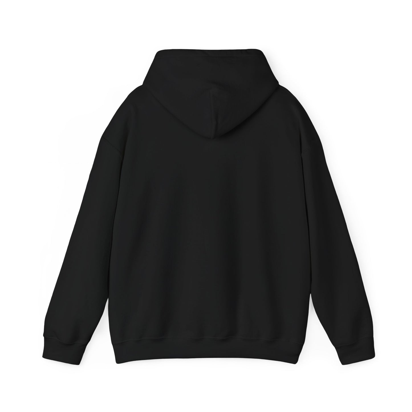 My King Hooded Sweatshirt, Unisex Sweatshirt Gift, Funny Hoodie for Men, Cozy Casual Wear, Catfish Established 2019