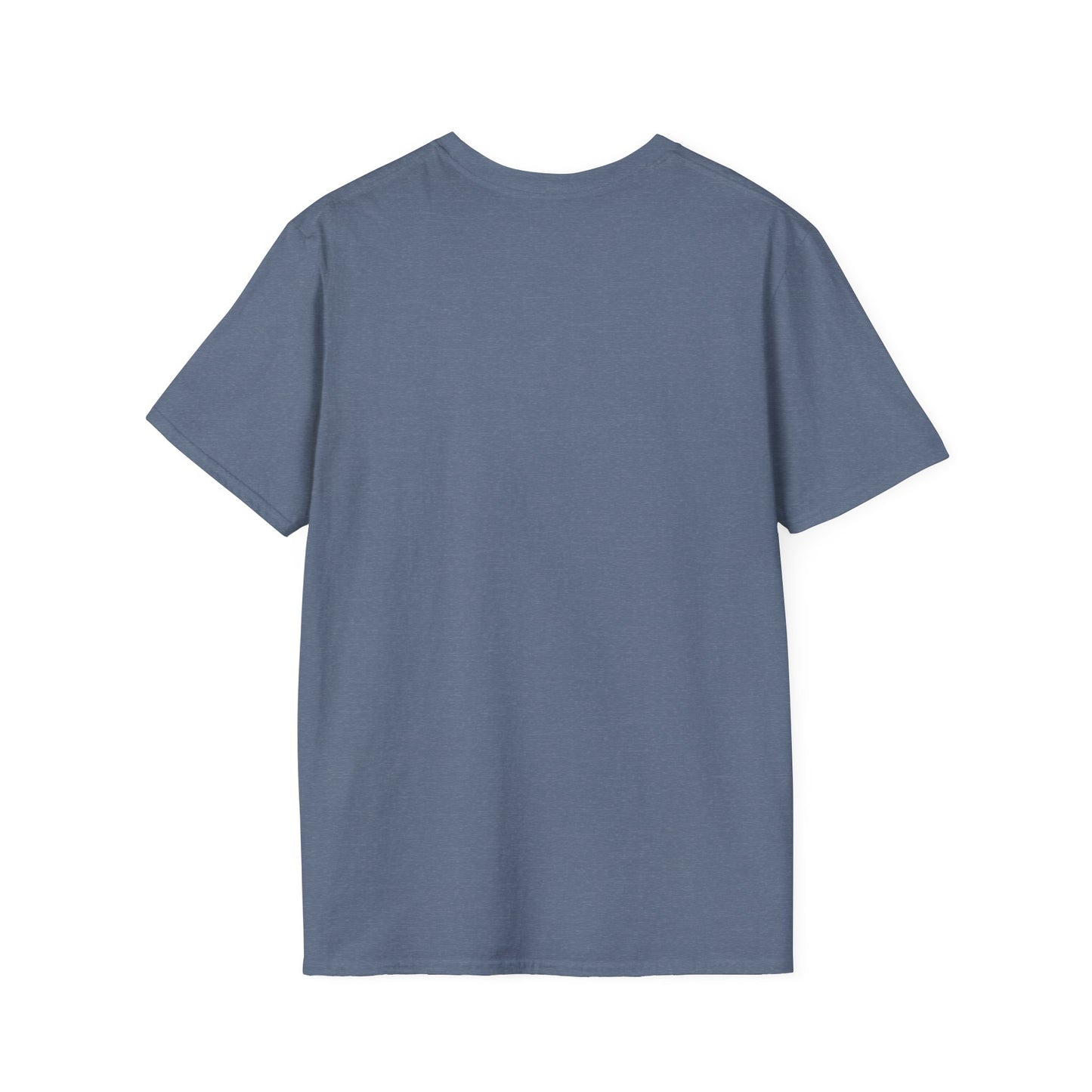 Thoughtful Unisex T-Shirt: Think Before You Send That Money, Gift, Casual Wear, Funny Shirt, Financial Humor