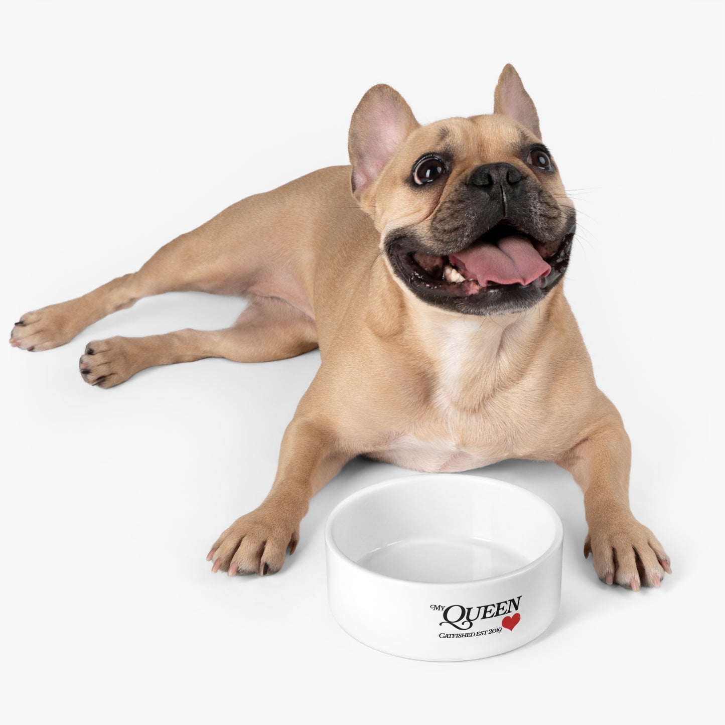 Personalized Pet Bowl for Cats and Dogs - Fun Gift for Pet Lovers, Custom Pet Dish, Pet Food Bowl, Home Decor, Unique Pet Accessories