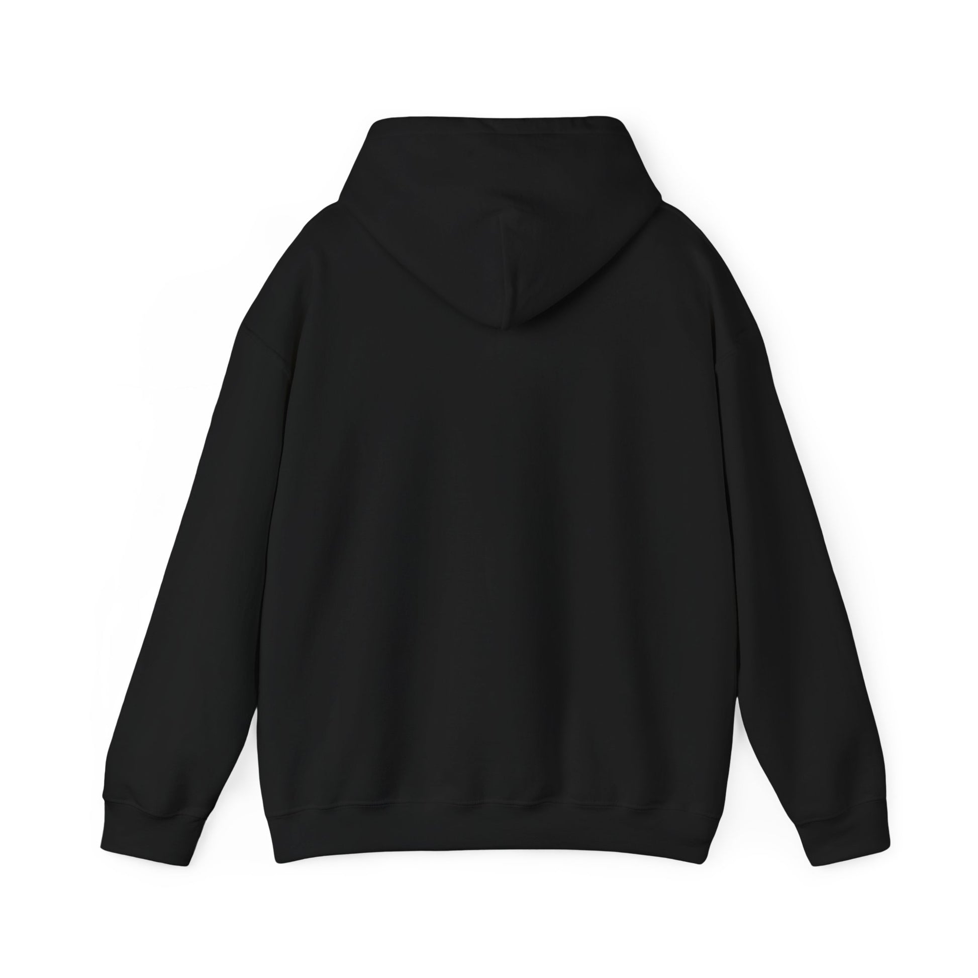My King Hooded Sweatshirt, Unisex Sweatshirt Gift, Funny Hoodie for Men, Cozy Casual Wear, Catfish Established 2019