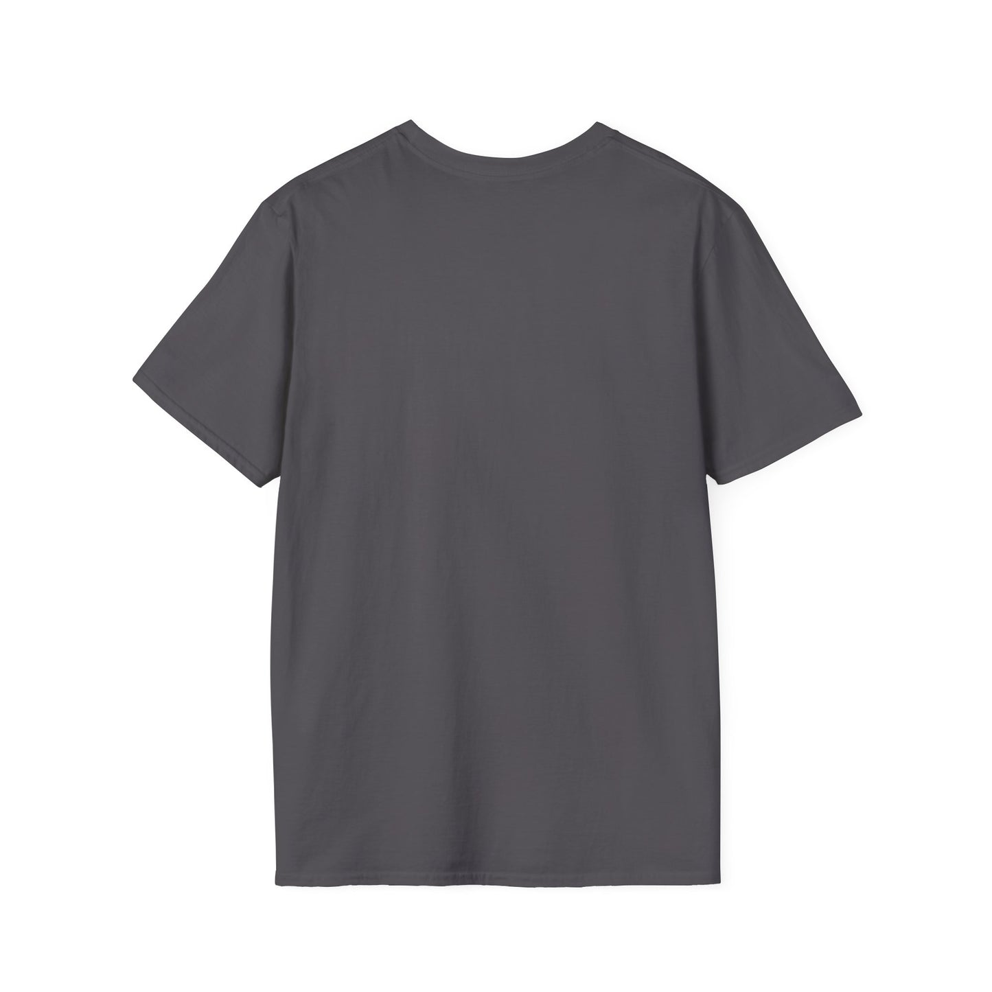 Thoughtful Unisex T-Shirt: Think Before You Send That Money, Gift, Casual Wear, Funny Shirt, Financial Humor